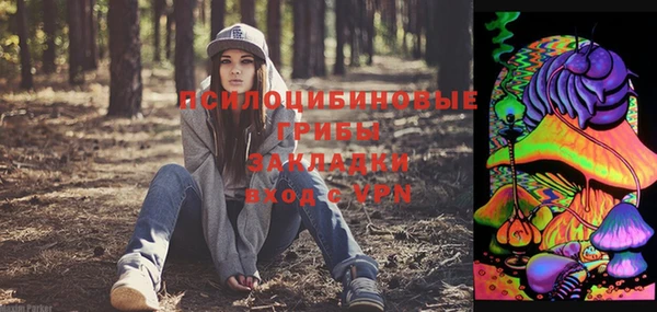 крисы Балабаново
